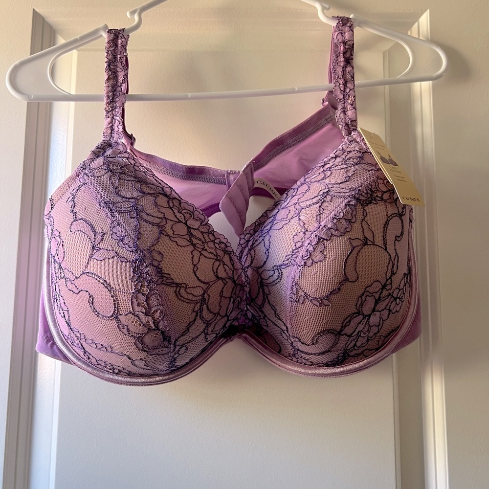 Lane Bryant Plunge